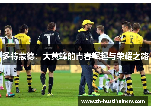 多特蒙德：大黄蜂的青春崛起与荣耀之路